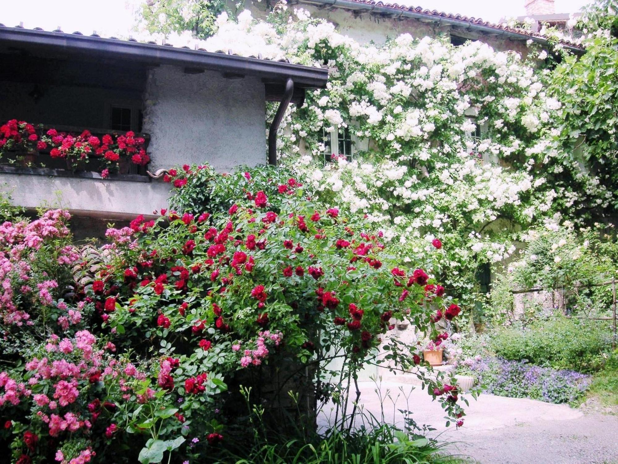 La Traversina Stazzano Zewnętrze zdjęcie