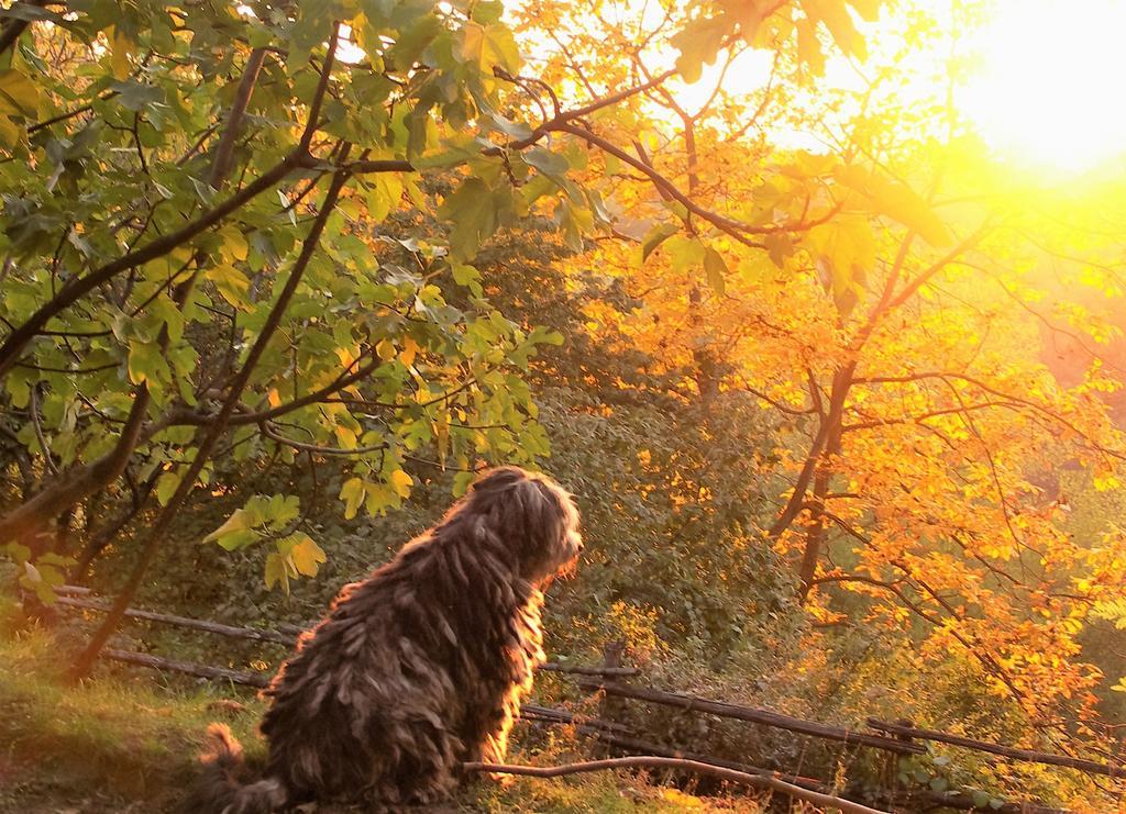 Willa La Traversina Stazzano Zewnętrze zdjęcie